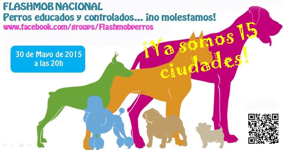 Flashmobs perrunos en todo el país
