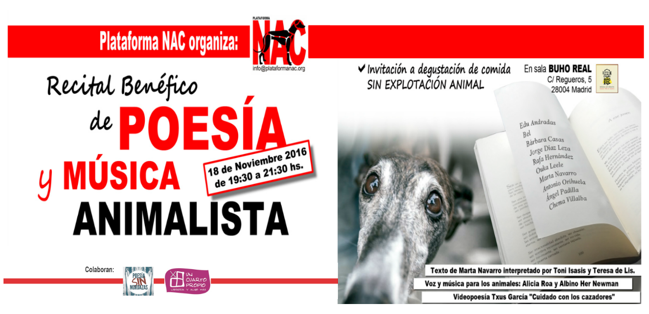 Recital Benéfico de Poesía y Música Animalista