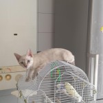 20150824_104424