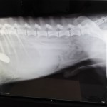 img-20150512-wa0004