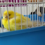 img_20150506_171203
