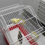 img_20150715_175307