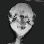 17492_338757852980432_8560522832510094632_n
