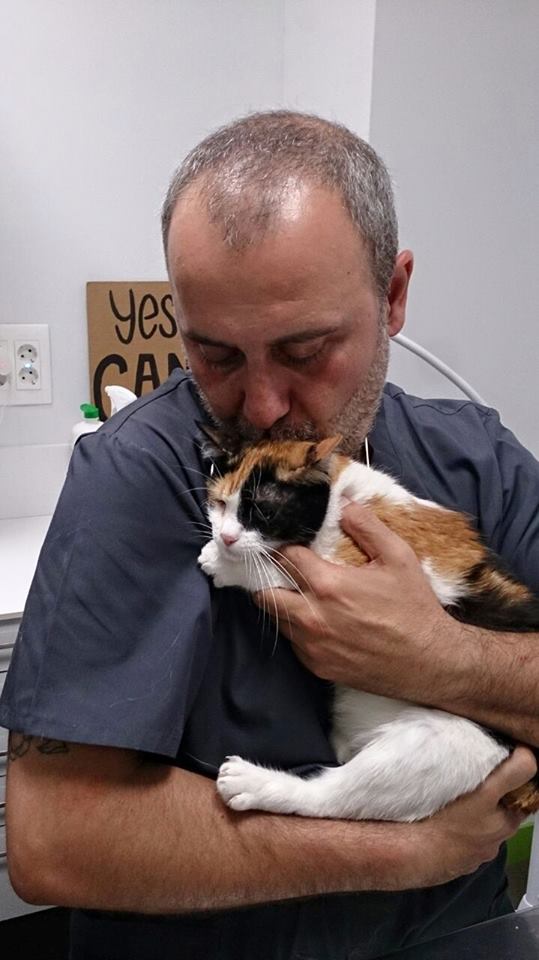 gatita