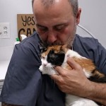 gatita-2