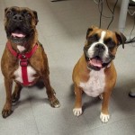 xena-y-lani