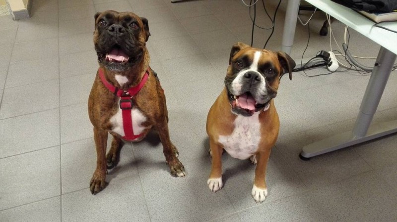 xena-y-lani