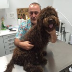 bruno2