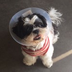 george-2