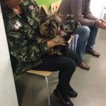 nana-niko